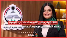 النائبة زينب بشير تقترح استحداث لجنة نوعية للذكاء الاصطناعي  ومواجهة مخاطر السوشيال ميديا 