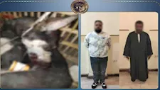 ضبط شخصين احتجزا كلبًا داخل قفص وتعديا عليه حتى الموت بالقاهرة