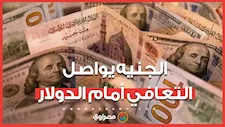 الجنيه يواصل التعافي أمام الدولار.. مصرفيون يوضحون أسباب القفزات المتتالية؟