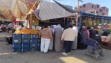 اللحوم بـ300 جنيه.. منافذ لطرح خضر وفاكهة مخفضة بالوادي الجديد