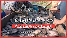 من داخل مشروع العباسة.. شاهد كيف تدار أكبر مزارع السمك في الشرقية