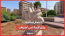حصان مقلوب وشخص مكبل.. قصة التمثال الذي أثار أزمة في منطقة الرضوانية بأسوان