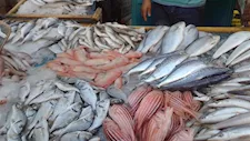 أسعار الأسماك والمأكولات البحرية في سوق العبور اليوم.. ارتفاع البلطي