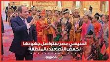 السيسي: مصر ستواصل جهودها لخفض التصعيد بالمنطقة