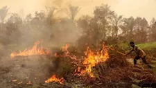 حرائق الغابات تُحاصر إندونيسيا.. مقتل 4 أشخاص وتدمير مئات المنازل ونزوح