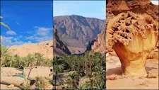 أسرار واحة "عين خضرة" بنويبع بين المياه العذبة والنخيل والجبال الشاهقة