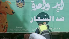 الطب البيطري يواصل حملات مكافحة الكلاب الضالة بشوارع الدقهلية