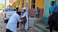 الطب البيطري ينفذ قوافل علاجية وتحصينات ضد السعار بـ3 مراكز في أسوان
