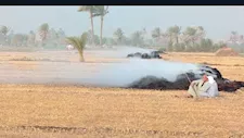 حريق يلتهم محصول 3 أفدنة أرز في الفيوم