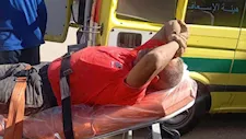 كلب ضال يعقر مواطنًا في حي فيصل بالسويس