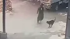 شاب بالمنيا يروي كواليس تصديه لكلب مسعور عقر 20 شخصاً في جبل الطير -صور 