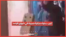 كيف حوّل شغب فرنسا زجاجاً صينياً إلى تريند عالمي؟