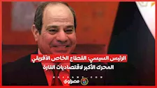 الرئيس السيسي: القطاع الخاص الأفريقي المحرك الأكبر لاقتصاديات القارة