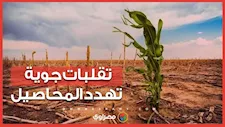 تحذيرات للمزارعين بسبب تأثيرات الطقس المتقلب على المحاصيل خلال أكتوبر