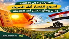 "تغير المناخ" يكشف تأثير التقلبات الجوية على المحاصيل ويوجه تحذيرات مهمة للمزارعين