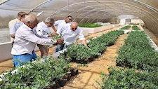  نجاح تجربة زراعة عباد الشمس الزيتي في جنوب سيناء بمياه آبار مالحة