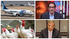 نشرة منتصف الليل| أسباب تدخل الحكومة لضبط أسعار الدواجن.. وحقيقة تسريب بيانات العاملين بمصر للطيران
