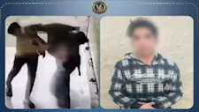 "وبخته على تحرشه بها".. الداخلية تضبط المتهم بالتعدي على طالبة بالقليوبية