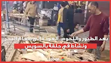 بعد الطيور واللحوم.. العودة إلى طعام البحر ونشاط في حلقة السمك بالسويس