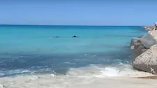 من العلمين إلى مطروح.. أشهر الشواطئ المفتوحة في الساحل الشمالي