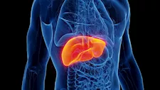 تجاهلها خطر.. إشارات مبكرة تدل على ضعف الكبد