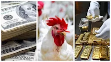 الذهب والدولار يتراجعان والدواجن ترتفع.. تحركات جديدة في الأسواق (نشرة