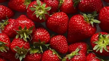 لماذا يجب تناول الفراولة في موسم البرد؟.. فوائد غير متوقعة