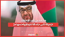 محمد بن زايد: الإمارات جميلة لكن جلدها غليظ ولحمها مرّ