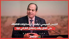 الرئيس السيسي: نرفض أي محاولات للالتفاف على اتفاق وقف إطلاق النار في غزة