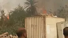 حريق يلتهم أشجار النخيل في قرية الحلة بإسنا جنوب الأقصر