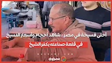 أحلى فسيخة في مصر.. شاهد أحجام وأسعار الفسيخ في قلعة صناعته بكفر الشيخ