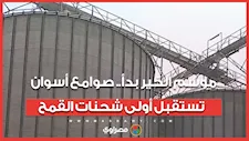 موسم الخير بدأ.. صوامع أسوان تستقبل أولى شحنات القمح