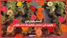 تبدأ بـ10 جنيه.. أسعار وأنواع الزرع والورود في معرض الزهور بالمتحف الزراعي