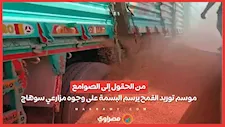 من الحقول إلى الصوامع.. موسم توريد القمح يرسم البسمة على وجوه مزارعي سوهاج