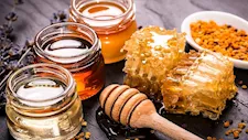 بعد تحذير وزارة الزراعة.. كيف تفرق بين العسل الطبيعي والمغشوش؟