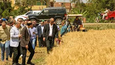 وسط فرحة المزارعين.. محافظ كفر الشيخ يطلق موسم حصاد القمح - صور