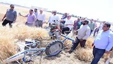رئيس جامعة سوهاج يشهد حصاد القمح من مزارع الجامعة