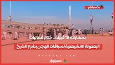 بمشاركة 18 قبيلة.. ختام فعاليات البطولة التنشيطية لسباقات الهجن بشرم الشيخ