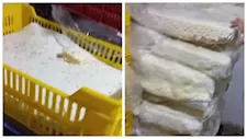 جبنة مجهولة المصدر.. ضبط مصنع غير مرخص و3 أطنان مواد خام في بني سويف