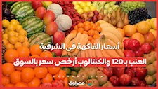 أسعار الفاكهة فى الشرقية.. العنب بـ 120 والكنتالوب أرخص سعر بالسوق