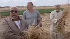 سجدنا شكرًا لله.. نجل مزراع الشرقية يكشف تفاصيل ضبط 3 متهمين بسرقة محصول القمح