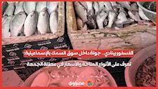الفسفور بينادي.. جولة داخل سوق السمك بالإسماعيلية: تعرف على الأنواع المتاحة والأسعار في عطلة الجمعة