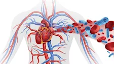  10 علامات مبكرة تنذر بضعف الدورة الدموية.. كيف تكتشفها؟
