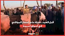 قبل العيد.. تعرف على أسعار المواشي في أسواق أسيوط...