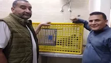 "دوّخ مدينة السادات".. القصة الكاملة لرحلة الـ 10 أيام في مطاردة نسناس