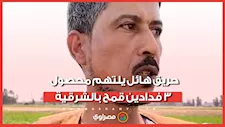 "شقى السنة بقى رماد".. حريق هائل يلتهم محصول 3 فدادين قمح بالشرقية شهود