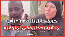 "شقانا راح في لحظة".. حريق هائل يلتهم 36 رأس ماشية بحظيرة في المنوفية