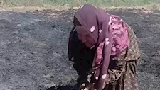 "الأرض إيجار والديون حصرتنا".. دموع مزارعة أكل حريق محصول قمحها بالشرقية
