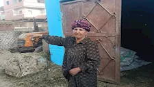 النار أكلت 3 فدادين.. سيدة الشرقية تسامح المتسبب في حريق قمحها: "يمكن ربنا