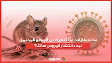 مكب نفايات.. ماذا نعرف عن الموقع المحتمل لبدء انتشار فيروس هانتا؟